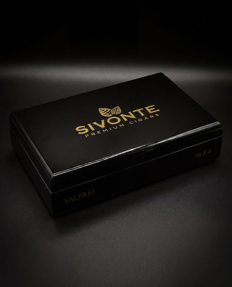 SIVONTE VALERIO (56 x 6)